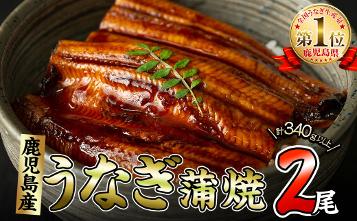 くすだ屋の極上うなぎ 2尾(170g×2)＜計340g以上＞ a6-044 426530 - 鹿児島県志布志市