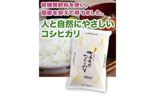 特別栽培米キラキラコシヒカリ 5kg 1195858 - 新潟県新潟市