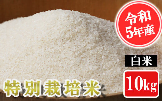 【令和5年産】特別栽培米 白米 10kg