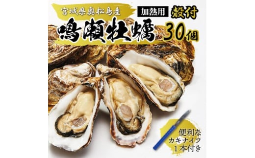 ＜先行受付＞奥松島のブランド牡蠣 後藤水産の『鳴瀬牡蠣』殻付き(加熱用)30個 カキナイフ1本付き【1457688】 1194738 - 宮城県宮城県庁 |
