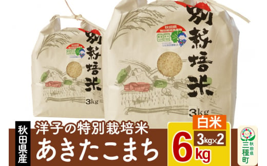 洋子の あきたこまち 特別栽培米 6kg(3kg×2袋) 秋田県産 一等米 【白米】 令和5年産