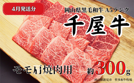 【2025年4月発送】千屋牛 モモ肩焼肉用(約300g) 牧場直送便 A5ランク 1198113 - 岡山県新見市