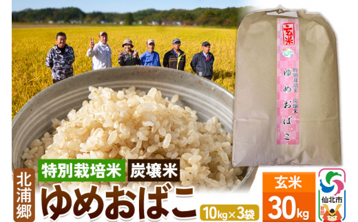 【特別栽培米 炭壌米 ゆめおばこ】令和5年産 玄米 10kg 3袋