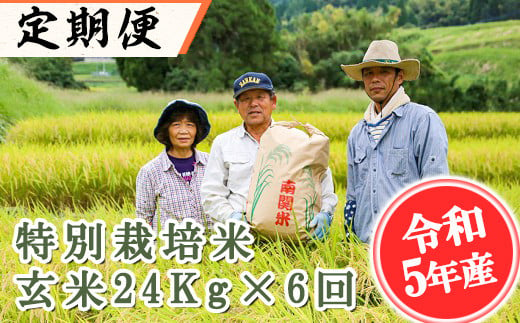 隔月発送【定期便6回】特別栽培米 玄米 24kg×6回 395237 - 熊本県南関町