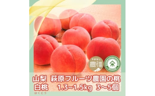 山梨 萩原フルーツ農園の桃(白桃) 1.3～1.5kg(3～5個入)【1477609】
