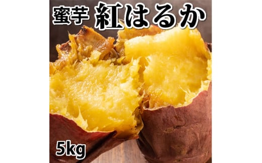 さつまいも 紅はるか 秀品5kg 西原村産 サツマイモ 紅蜜芋 芋 いも 1305768 - 熊本県西原村