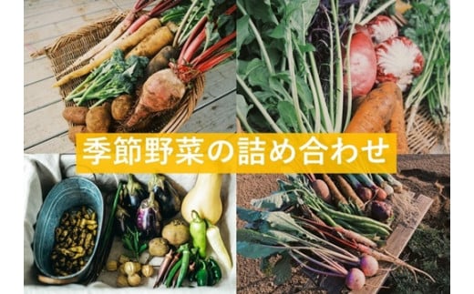 農家キレド季節野菜の詰め合わせ / 旬 野菜 詰合せ セット