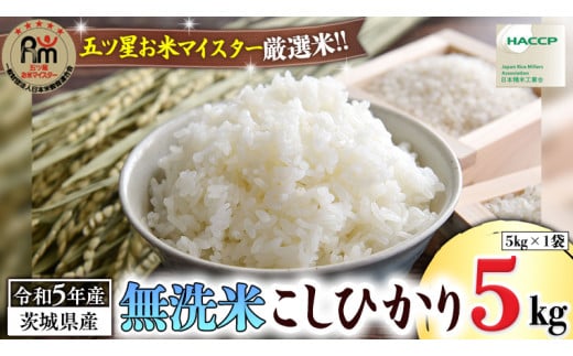 令和5年産 》 茨城県産 無洗米 コシヒカリ ( 5kg × 1袋 ) 期間限定