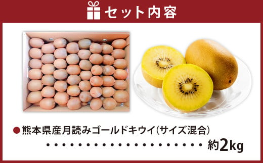 にしだ果樹園の熊本県産月読みゴールドキウイ サイズ混合 約2kg