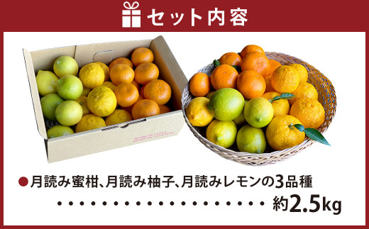 にしだ果樹園の熊本県産月読み果実3色詰め合わせ(3品種)