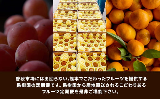 熊本の果樹園こだわりフルーツ定期便