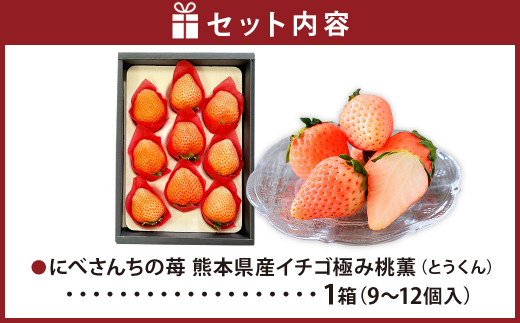 にべさんちの苺 熊本県産イチゴ桃薫(とうくん) 