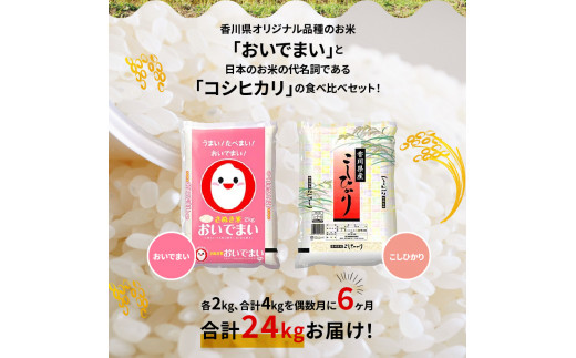 【6ヶ月定期便】計約24kg 偶数月 おいでまい・コシヒカリ食べ比べ各2kg