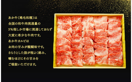 あか牛 カルビ 焼き肉 セット(あか牛バラカルビ400g、あか牛のたれ200ml付き)