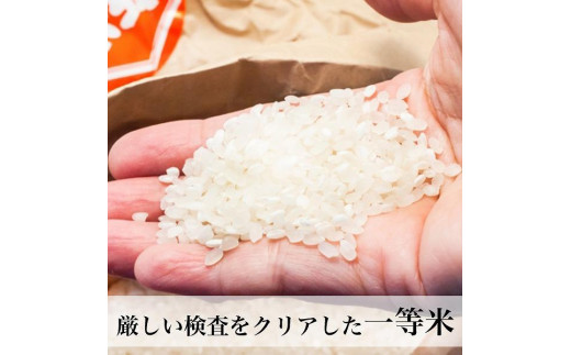 令和5年産】福岡県産米食べ比べ＜白米＞セット「夢つくし」と「元気