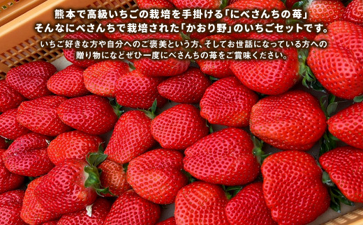 にべさんちの苺 熊本県産イチゴかおり野 約520g