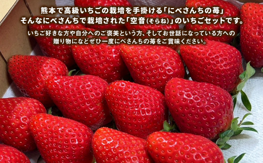 にべさんちの苺 熊本県産イチゴ空音(そらね)極み