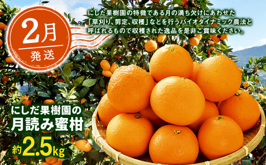 熊本の果樹園こだわりフルーツ定期便