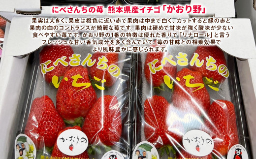 にべさんちの苺 熊本県産イチゴかおり野 約520g