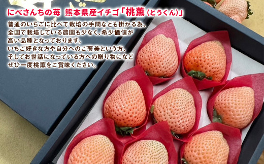 にべさんちの苺 熊本県産イチゴ桃薫(とうくん) 