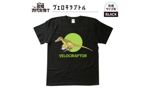 恐竜・古代生物Tシャツ　ヴェロキラプトル　サイズS（レギュラー） 1196273 - 福島県いわき市
