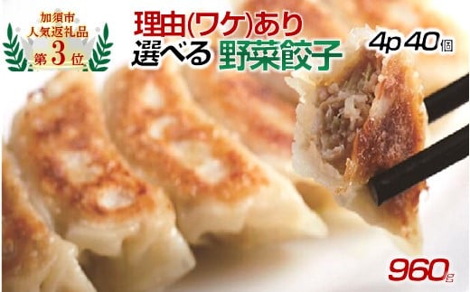 【訳あり】「冠生園」の冷凍野菜餃子：4パック 1150410 - 埼玉県加須市