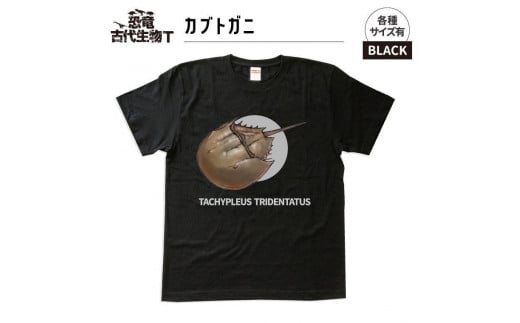 恐竜・古代生物Tシャツ　カブトガニ　サイズS（レギュラー） 1196403 - 福島県いわき市