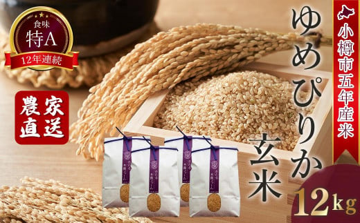 玄米のふるさと納税 カテゴリ・ランキング・一覧【ふるさとチョイス