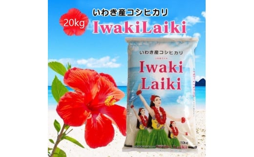 Iwaki Laikiいわき産コシヒカリ20kg 1195902 - 福島県いわき市