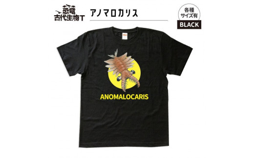 ふるさと納税 服 福島県 いわき市 恐竜・古代生物Tシャツ　ティラノサウルス 033　サイズXXXL（レギュラー） ブラック　サイズXXXL 11012795.jpg