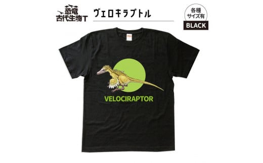 恐竜・古代生物Tシャツ　ヴェロキラプトル　サイズXL（レギュラー） 1196276 - 福島県いわき市