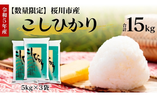 【 令和5年度産 】数量限定 桜川市産 こしひかり 15kg（5kg×3袋） 茨城県産 桜川 米 お米 白米 コメ ごはん 精米 コシヒカリ  こしひかり 国産 限定 [AX009sa]|株式会社高橋米穀