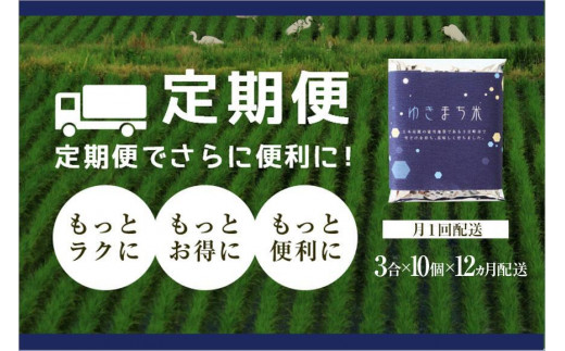 定期便／12ヵ月】ゆきまち米 3合×10個 極上魚沼産コシヒカリ