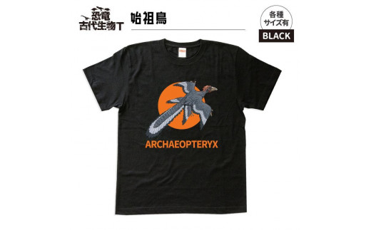 恐竜・古代生物Tシャツ　始祖鳥 049　サイズＭ（レギュラー） 1197622 - 福島県いわき市