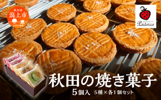 秋田の焼き菓子 5種セット