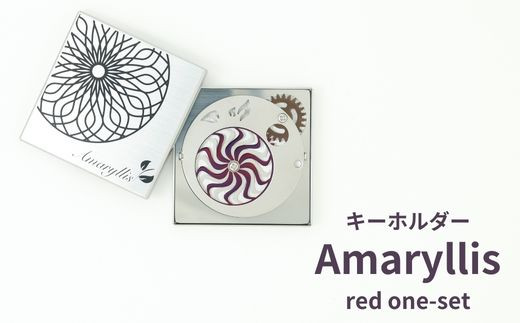 MZ-2-a Amaryllis red one-set 1197676 - 大阪府東大阪市