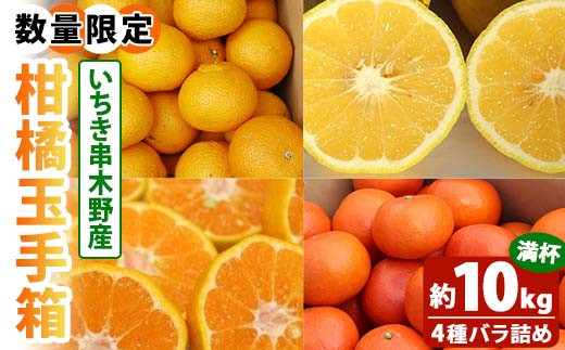 先行受付！産直もぎたて】新鮮ピオーネ２kg｜ふるラボ