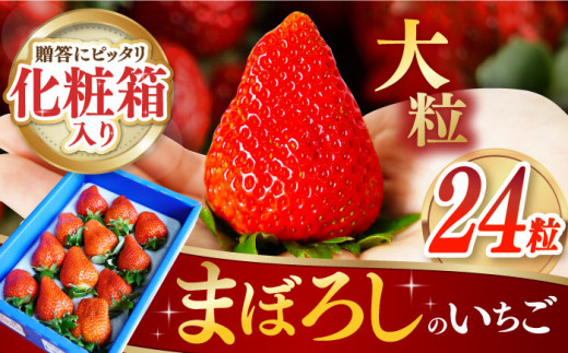 大粒！甘～い！！長崎ストロベリー「まぼろしの電子いちご」 化粧箱入り2箱(24玉)【2024年1～2月お届け】 長崎県産 さちのか ゆめのか  長崎県/長崎果匠 [42AABK007]