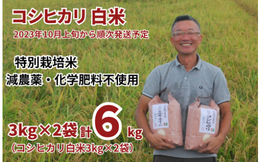 特別栽培米 コシヒカリ 白米 6kg （3