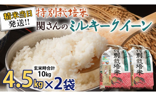 《 特別栽培米 》 令和5年産 精米日出荷 関さんの「 ミルキークイーン 」 4.5kg × 2袋 ( 玄米時 10kg ) 新鮮 精米 米 こめ  コメ 特別栽培農産物 認定米|みずほの村市場 牛久店