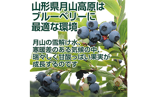 先行予約 2024年度発送】山形県月山高原産 大澤農園のブルーベリー 250g×4パック 計1kg 生食用 爽やかな甘酸っぱさが魅力です フルーツ  果物 くだもの 果実 食品 山形県 FSY-1223 - 山形県｜ふるさとチョイス - ふるさと納税サイト