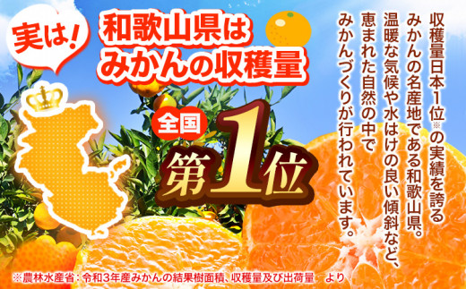 有田みかん果汁 100% ジュース 味皇 あじおう 720ml×2本 株式会社魚鶴