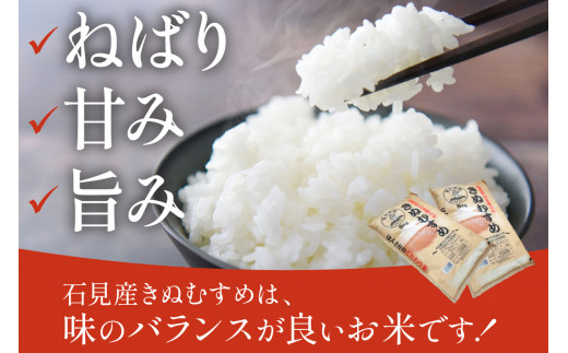 【定期便】【令和5年産】石見産きぬむすめ 1年分 60kg 12ヶ月（5kg×12回コース） おいしさ自慢のお米 お取り寄せ 特産 お米 精米 白米  ごはん ご飯 コメ 新生活 応援 準備 【237】