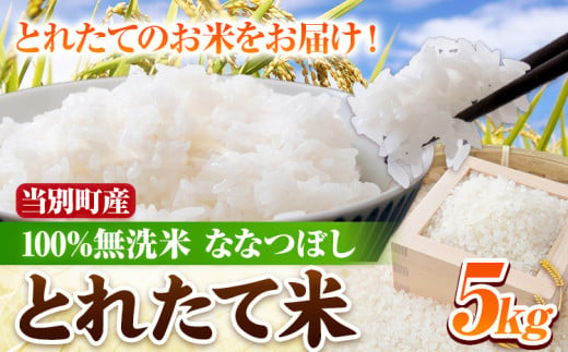 [0.95-42]「とれたて米」当別産100％無洗米ななつぼし5kg 678338 - 北海道当別町