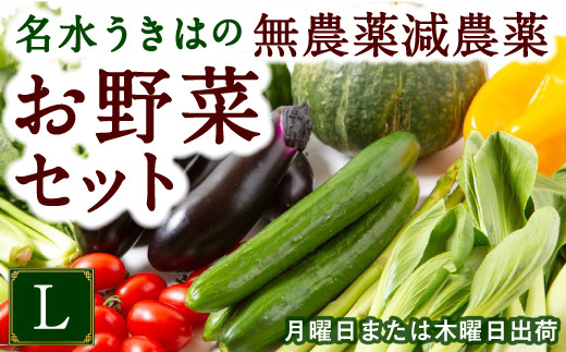P332-L UIC 名水うきはの無農薬減農薬お野菜セットL 214653 - 福岡県うきは市