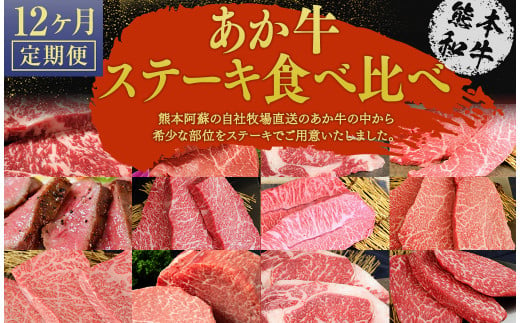 【12ヶ月定期便】あか牛ステーキ 12種 極上食べ比べ　
