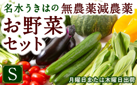 P332-S UIC 名水うきはの無農薬減農薬お野菜セットS 214651 - 福岡県うきは市