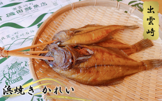 磯田鮮魚店の浜焼き「かれい」（1束3本）