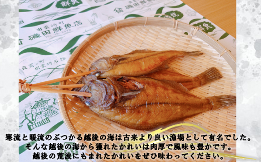 磯田鮮魚店の浜焼き「かれい」（1束3本）