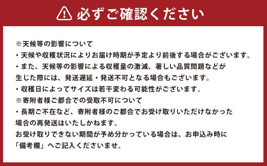 2024年2月上旬発送開始】熊本県産塩ミディートマト 約1.5kg - 熊本県